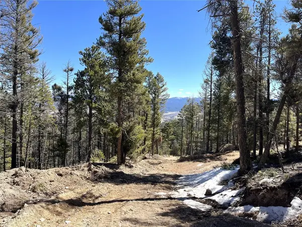 16872 County Road 325, Buena Vista, CO 81236