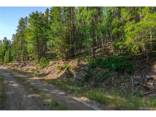 0 Aspenwood, Evergreen, CO 80439
