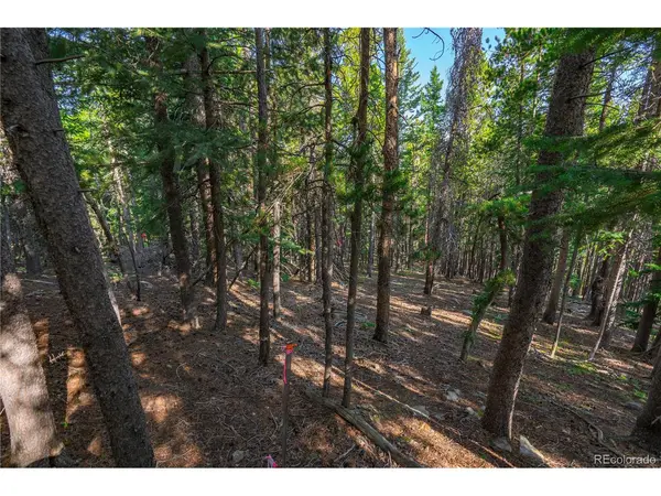 0 Aspenwood, Evergreen, CO 80439