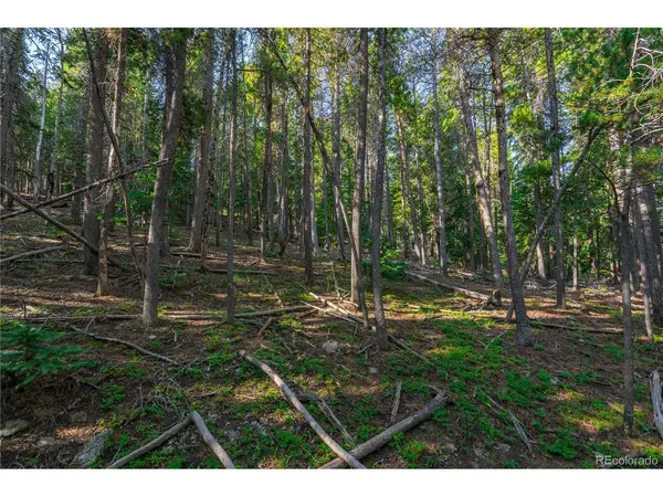 0 Aspenwood, Evergreen, CO 80439