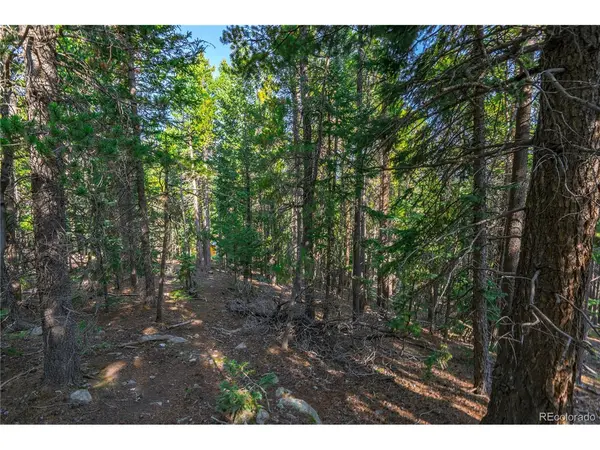 0 Aspenwood, Evergreen, CO 80439