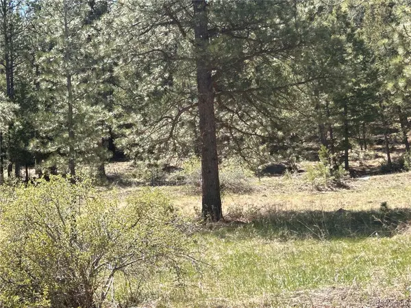 364 County Road 64, Shawnee, CO 80475