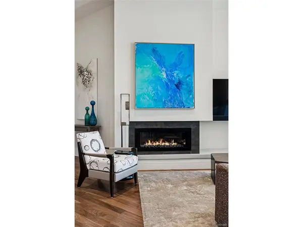 250 Columbine #703, Denver, CO 80206