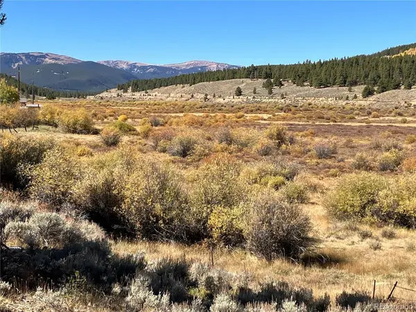 Leadville Land, Leadville, CO 80461