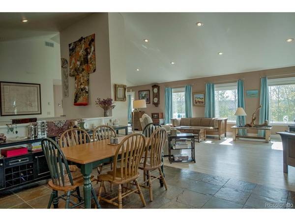 331 Canthook, Fairplay, CO 80440
