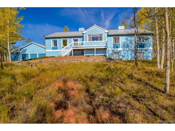 331 Canthook, Fairplay, CO 80440