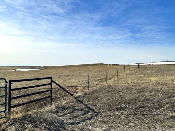 40 Acres - Elbert County - Hwy 86, Agate, CO 80101