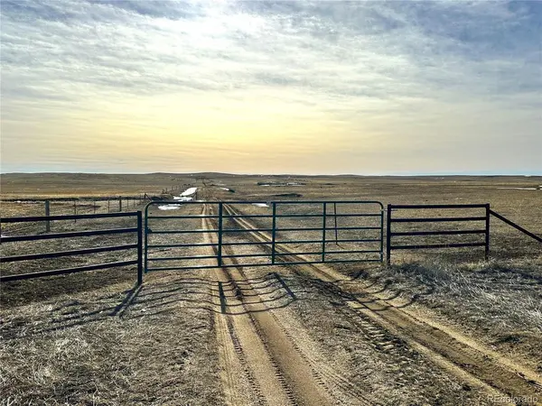 40 Acres - Elbert County - Hwy 86, Agate, CO 80101
