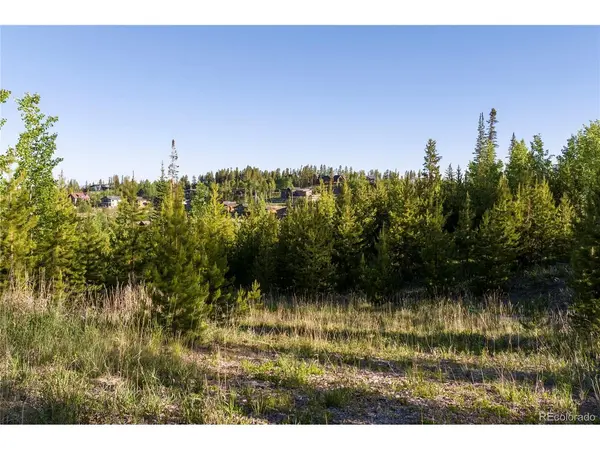 1414 Pioneer, Fraser, CO 80442