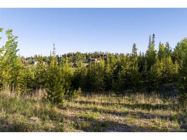 1414 Pioneer, Fraser, CO 80442