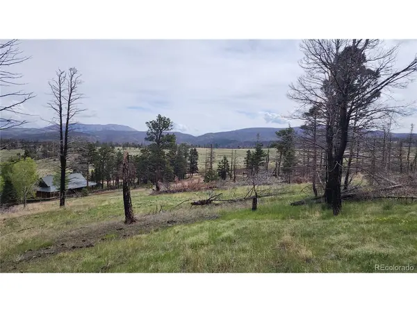 449 Duckworth, Fort Garland, CO 81133