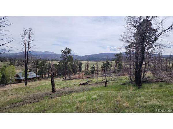 449 Duckworth, Fort Garland, CO 81133