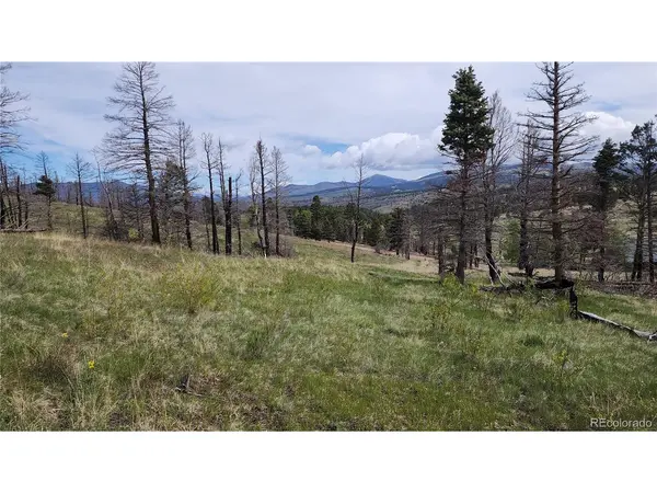 449 Duckworth, Fort Garland, CO 81133