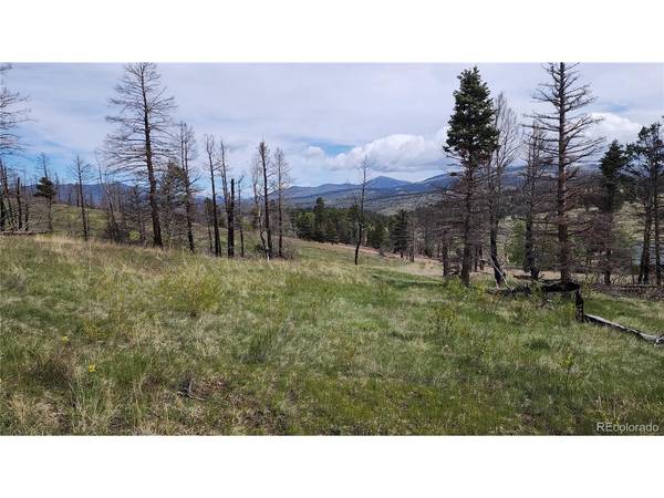449 Duckworth, Fort Garland, CO 81133