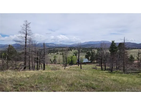 449 Duckworth, Fort Garland, CO 81133