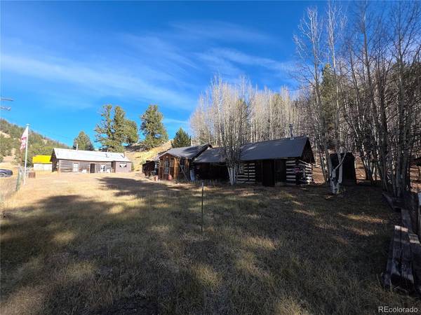 316 Main, Bonanza, CO 81155