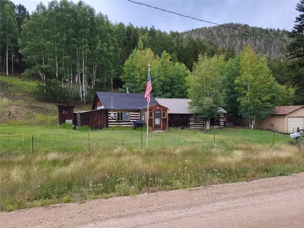 316 Main, Bonanza, CO 81155