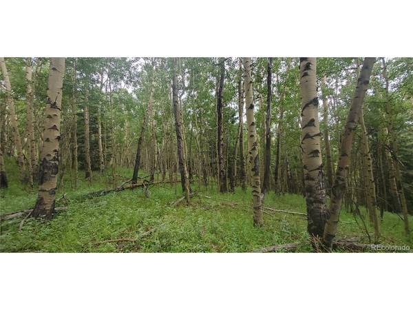 Address not disclosed, Fort Garland, CO 81133
