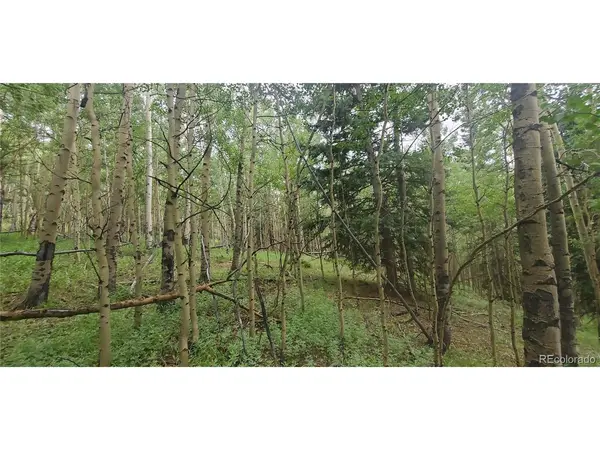Address not disclosed, Fort Garland, CO 81133