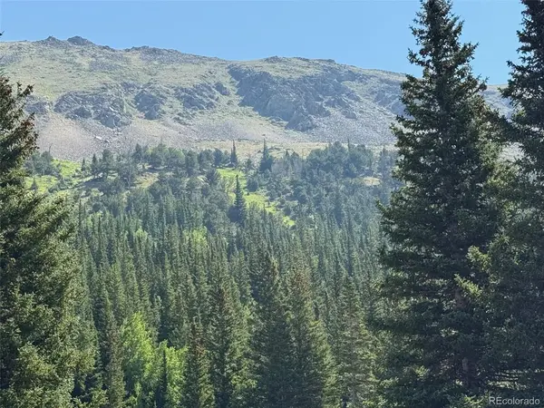 4880 Fourth of July, Nederland, CO 80466