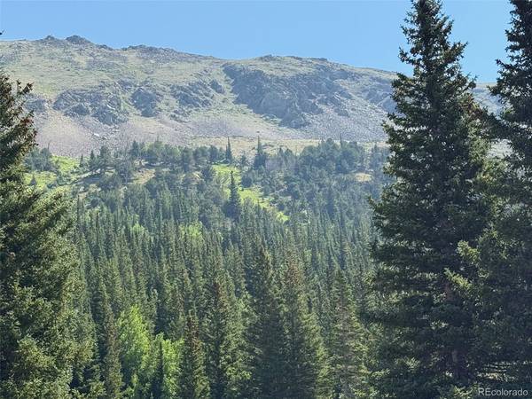 4880 Fourth of July, Nederland, CO 80466