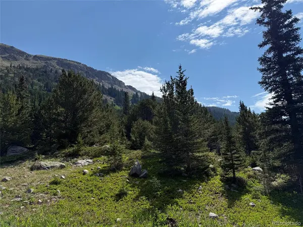4880 Fourth of July, Nederland, CO 80466