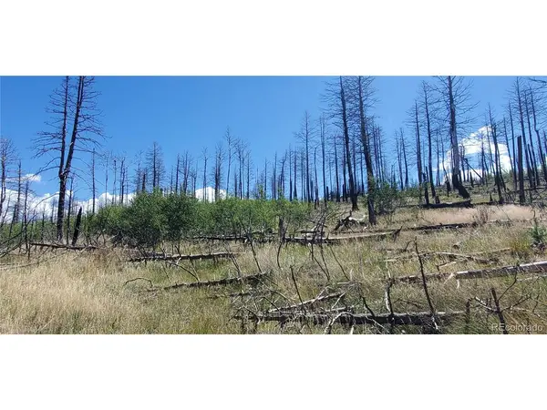 1064 Reed, Fort Garland, CO 81133