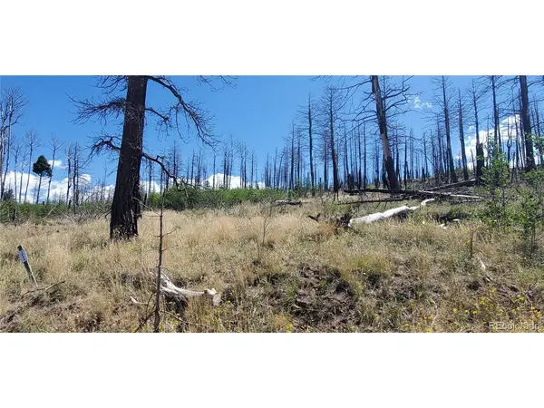 1064 Reed, Fort Garland, CO 81133