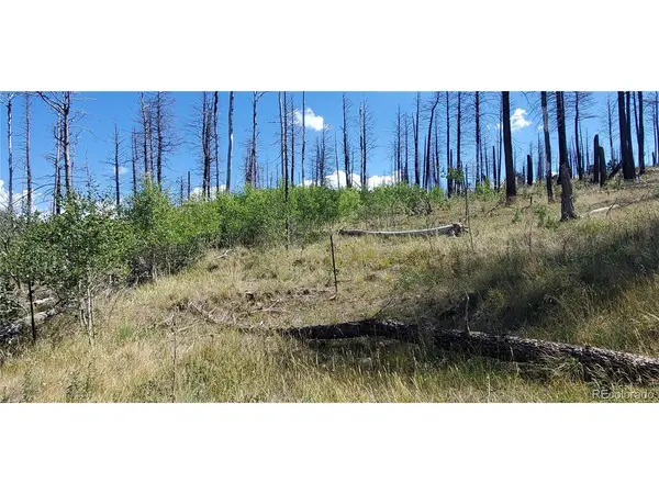 1064 Reed, Fort Garland, CO 81133