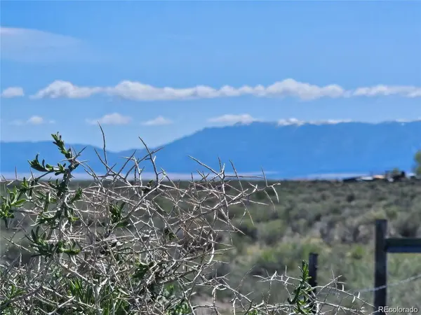 Alamosa, CO 81101