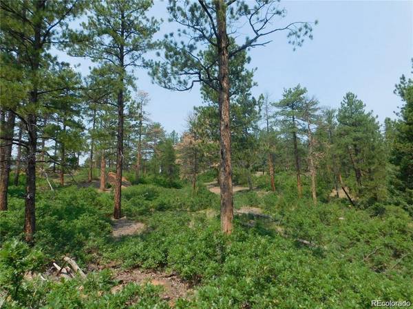 4356 Elati, Larkspur, CO 80118