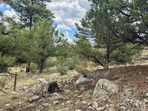 30110 Princeton, Buena Vista, CO 81211