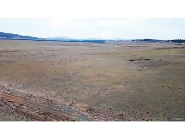3164 Meier Ridge, Fairplay, CO 80440