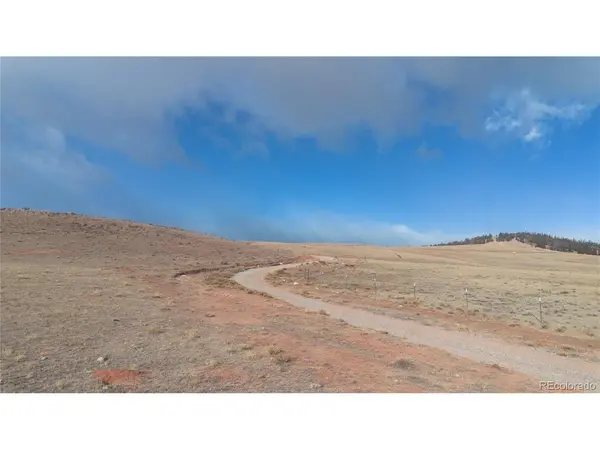 3164 Meier Ridge, Fairplay, CO 80440