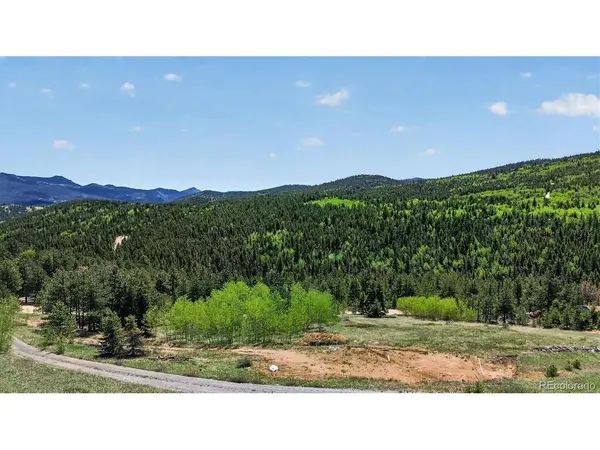 795 Russell Gulch, Central City, CO 80427