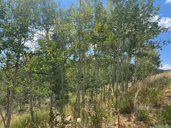 795 Russell Gulch, Central City, CO 80427