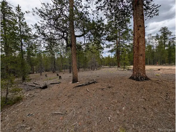 437 Juniper, Twin Lakes, CO 81251