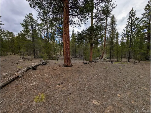437 Juniper, Twin Lakes, CO 81251