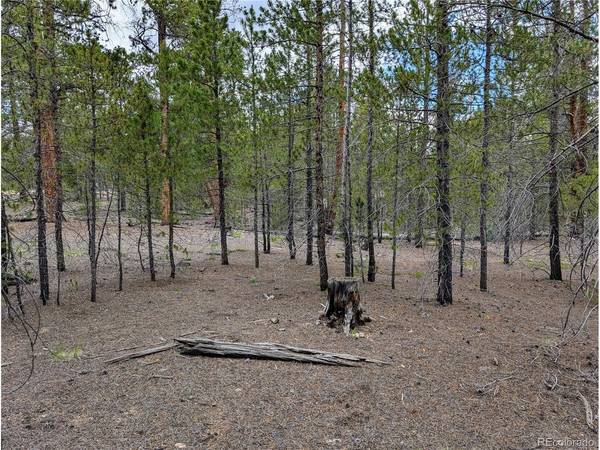437 Juniper, Twin Lakes, CO 81251