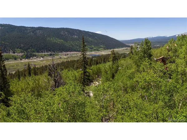 1255 Quartzville, Fairplay, CO 80440