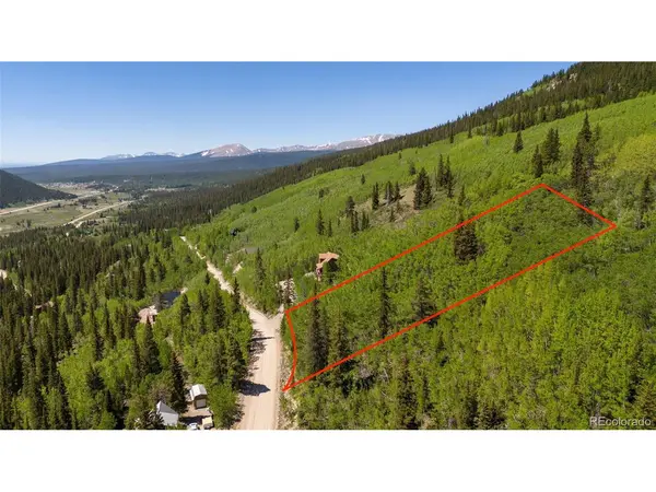 1255 Quartzville, Fairplay, CO 80440