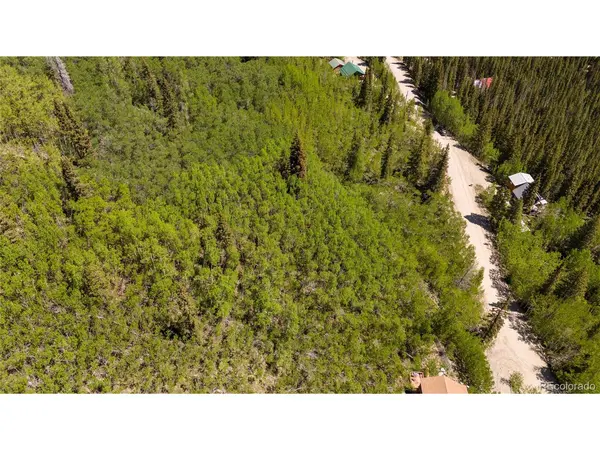 1255 Quartzville, Fairplay, CO 80440
