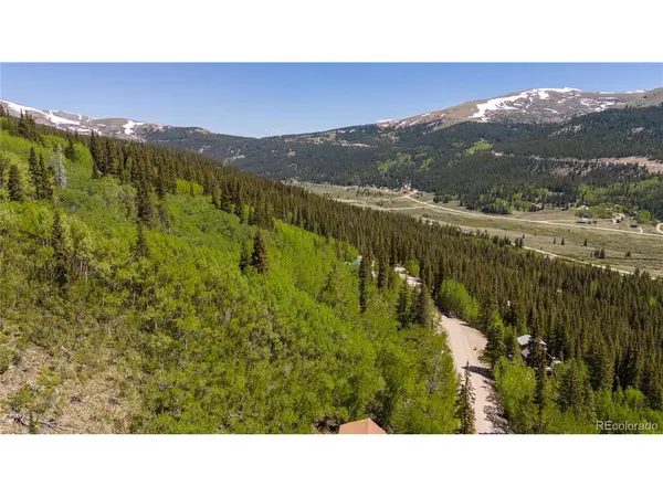 1255 Quartzville, Fairplay, CO 80440