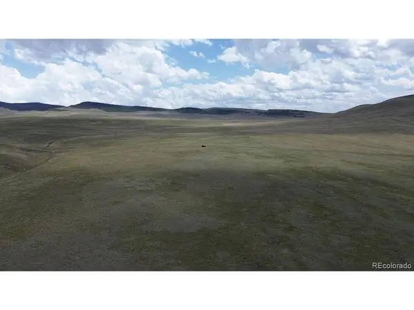 1789 Wahosta, Guffey, CO 80820