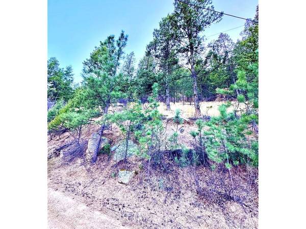 Green Mountain Falls, CO 80819