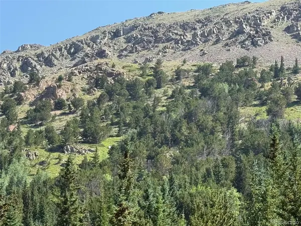 3802 Fourth of July, Nederland, CO 80466
