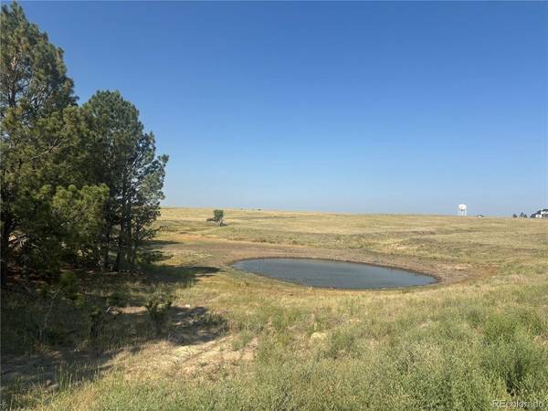 32147 Waylongood, Kiowa, CO 80117