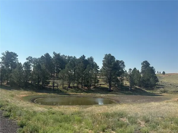 32147 Waylongood, Kiowa, CO 80117