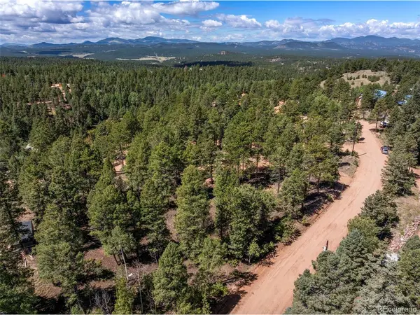210 Donzi, Florissant, CO 80816
