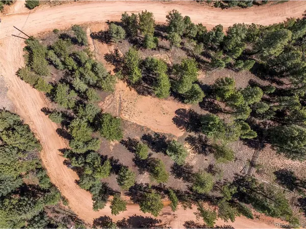 210 Donzi, Florissant, CO 80816